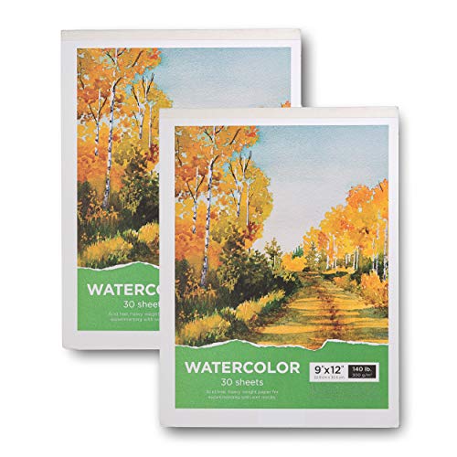 Watercolor Pad, 9x12" - 2-Pack, 60 Sheets, 140 Lb / 300